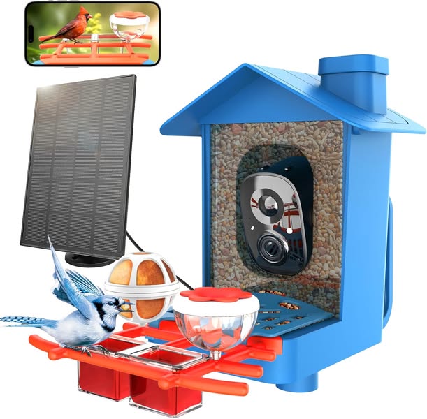 Best deals for everyday items at special prices daily